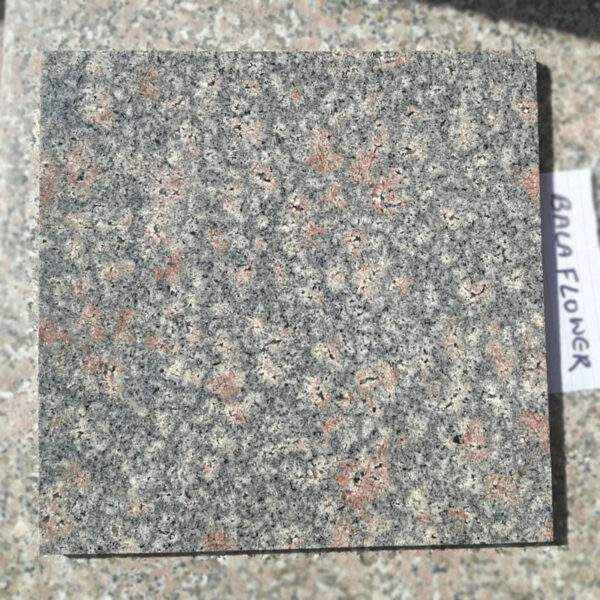 Bala Flower Granite - Image 3
