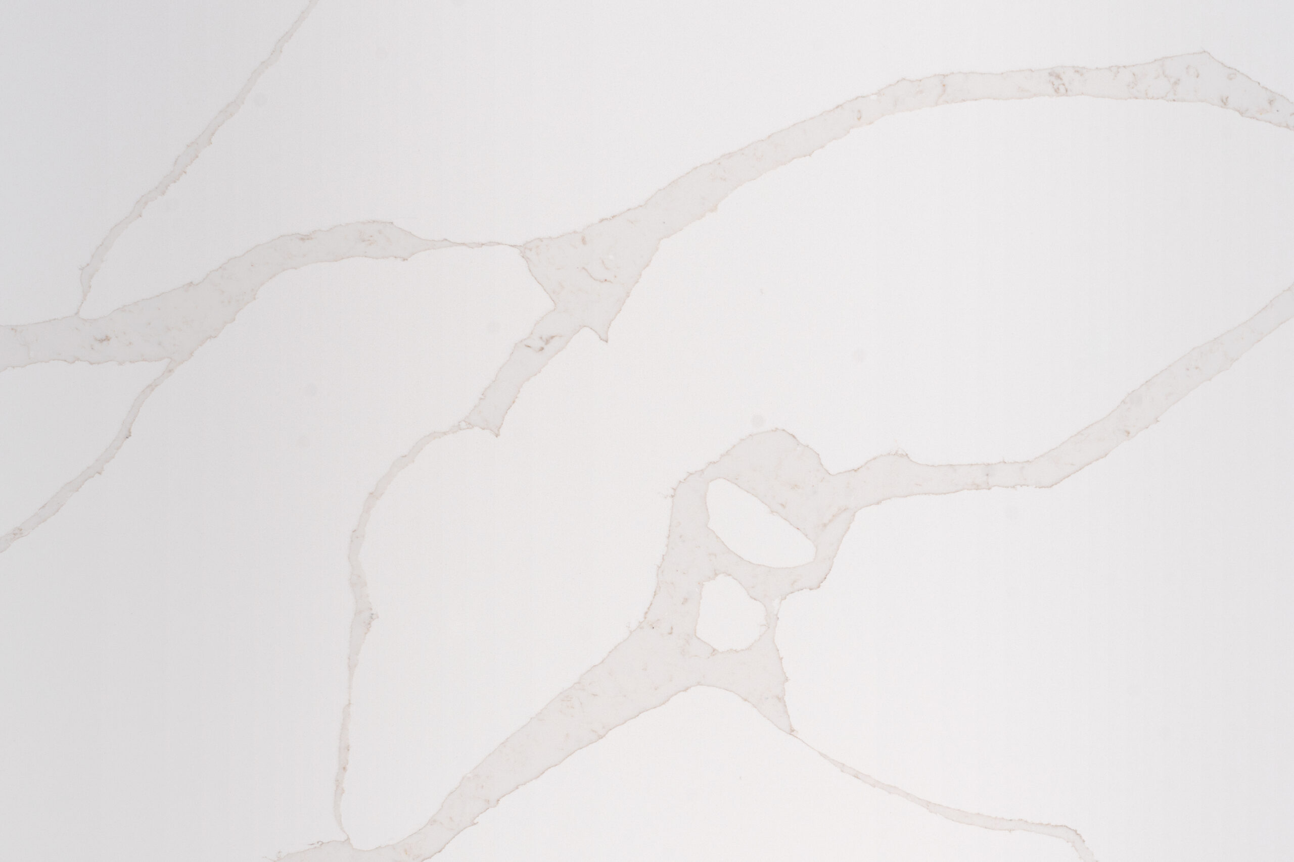 Calacatta Myron - Image 2